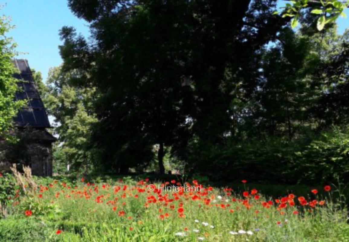 In der Natur leben