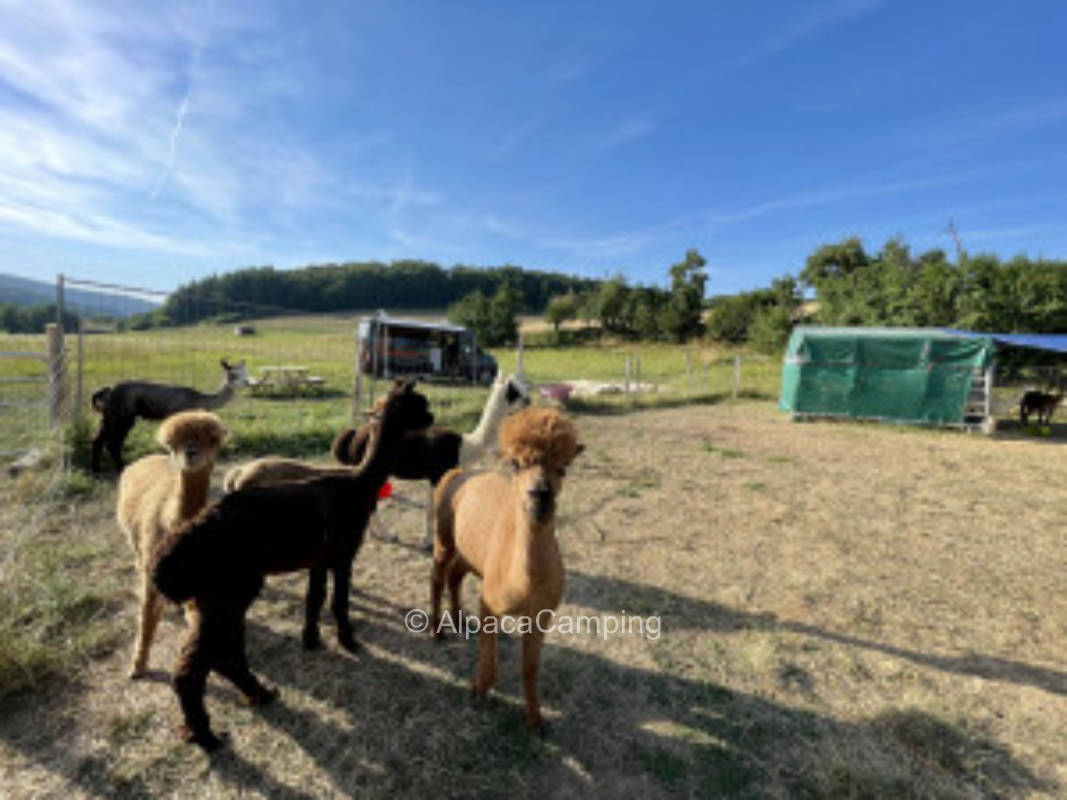Einzelstellplatz im (K)Einhornland nähe Marburg