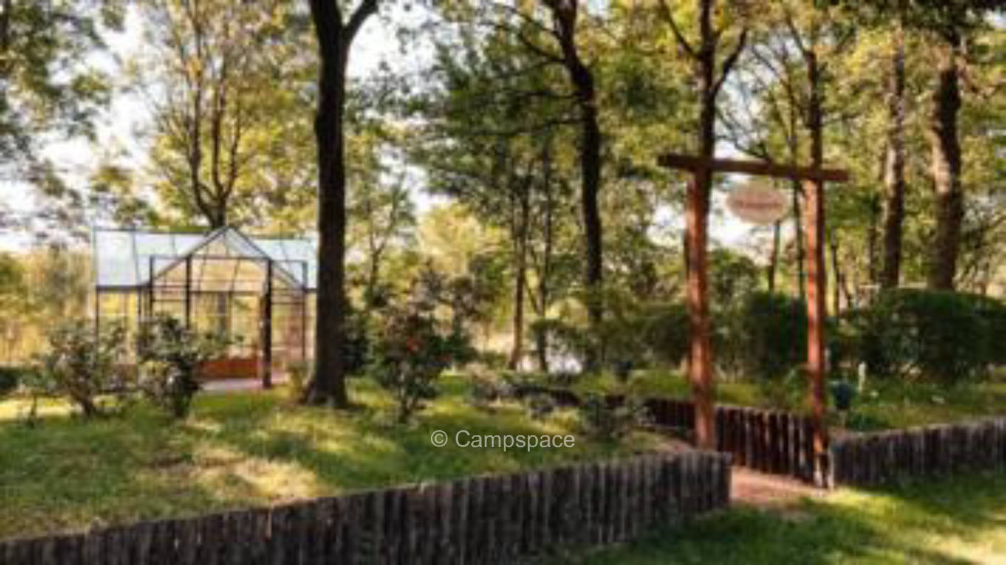 Nature camping under trees on the Lower Rhine