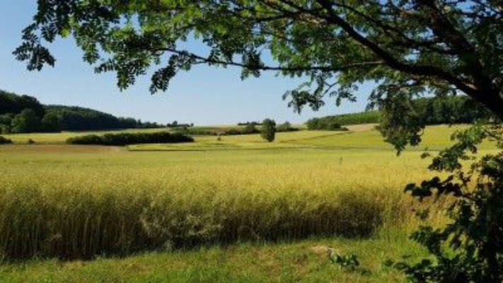 Förstlich campieren in der Fränkischen Schweiz