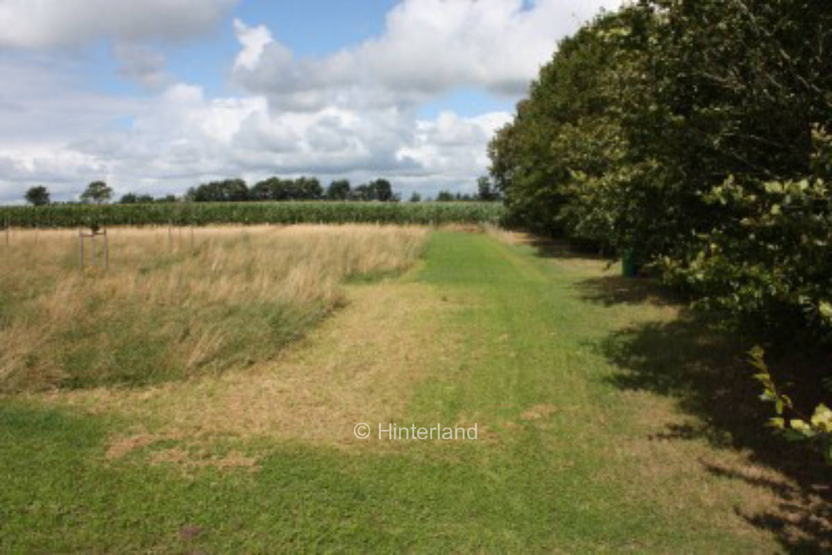 Streuobstwiese in Nordfriesland