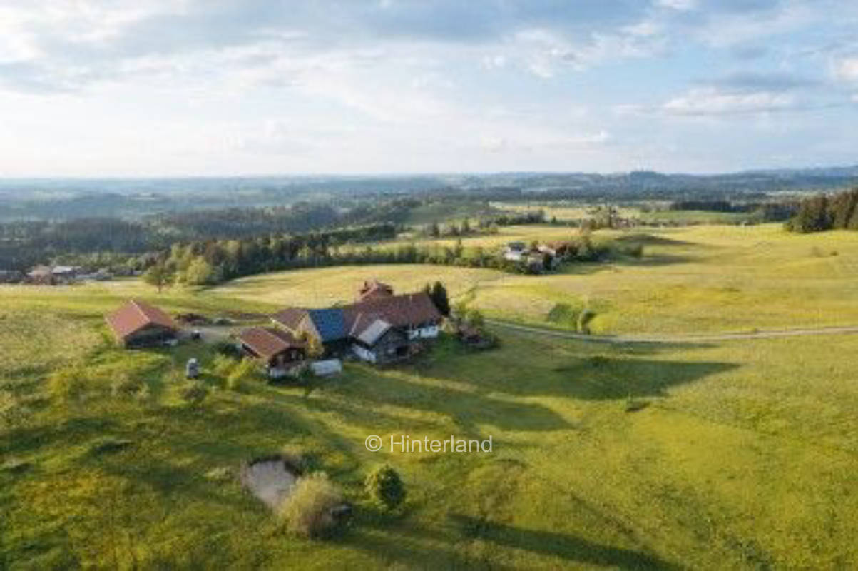 Auf der Obstwiese mitten im Allgäu mit super Blick