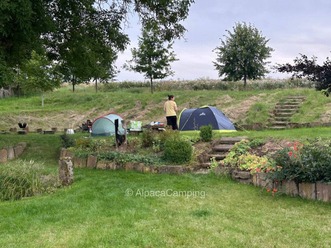 Behind the yard in the garden #1