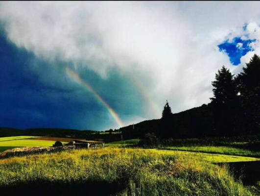 Auf dem Kleinfeld (Campspace 24449)