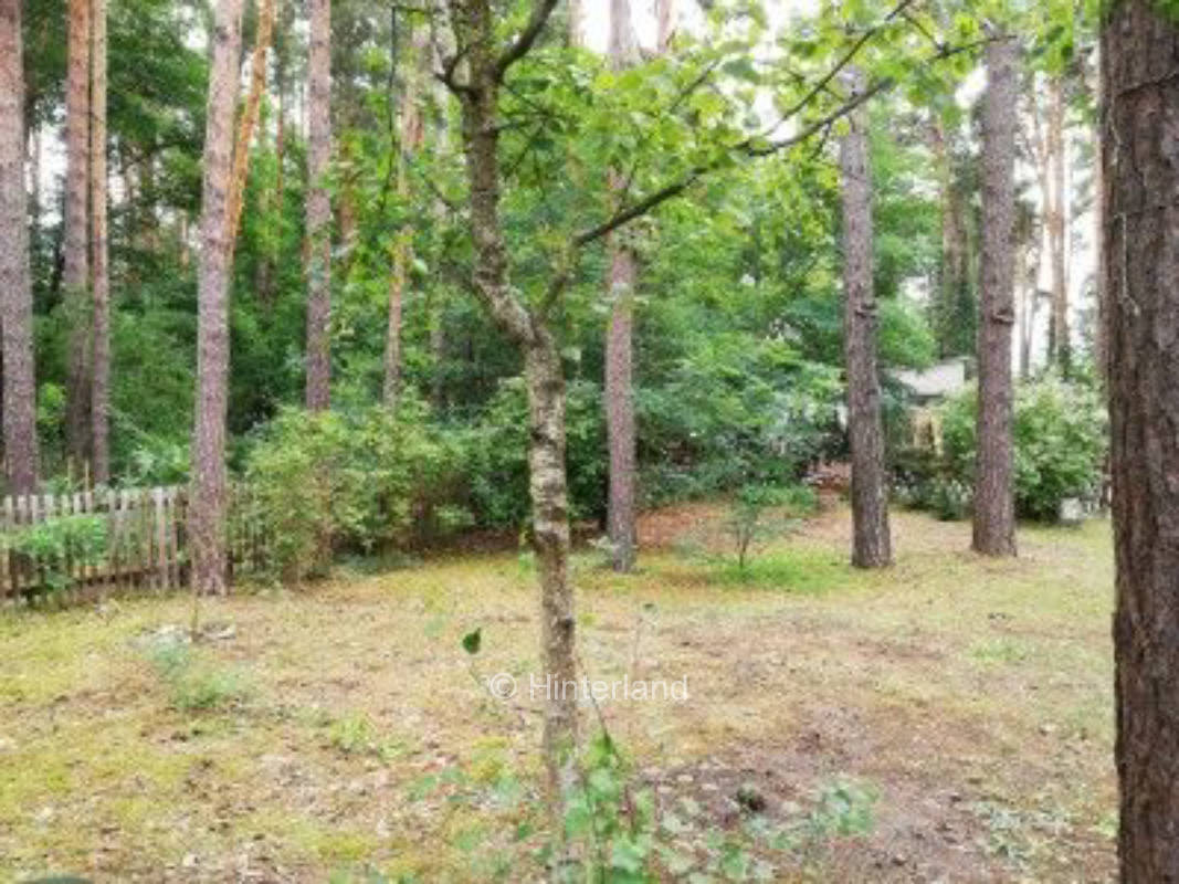 Idyll im Wald und in Seenähe mit Pool