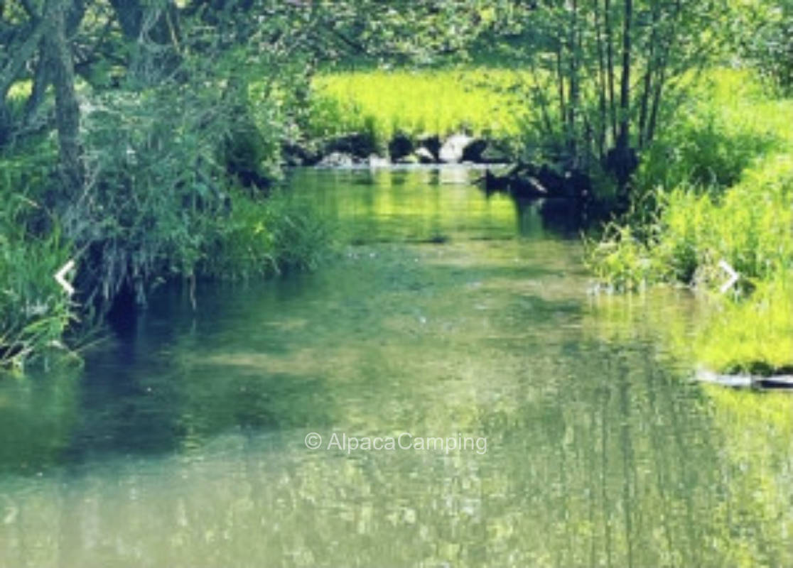 Wunderschöner Stellplatz auf unserer Streuobstwiese #2