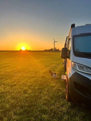 Natural campsite on the North Sea - peaceful & idyllic