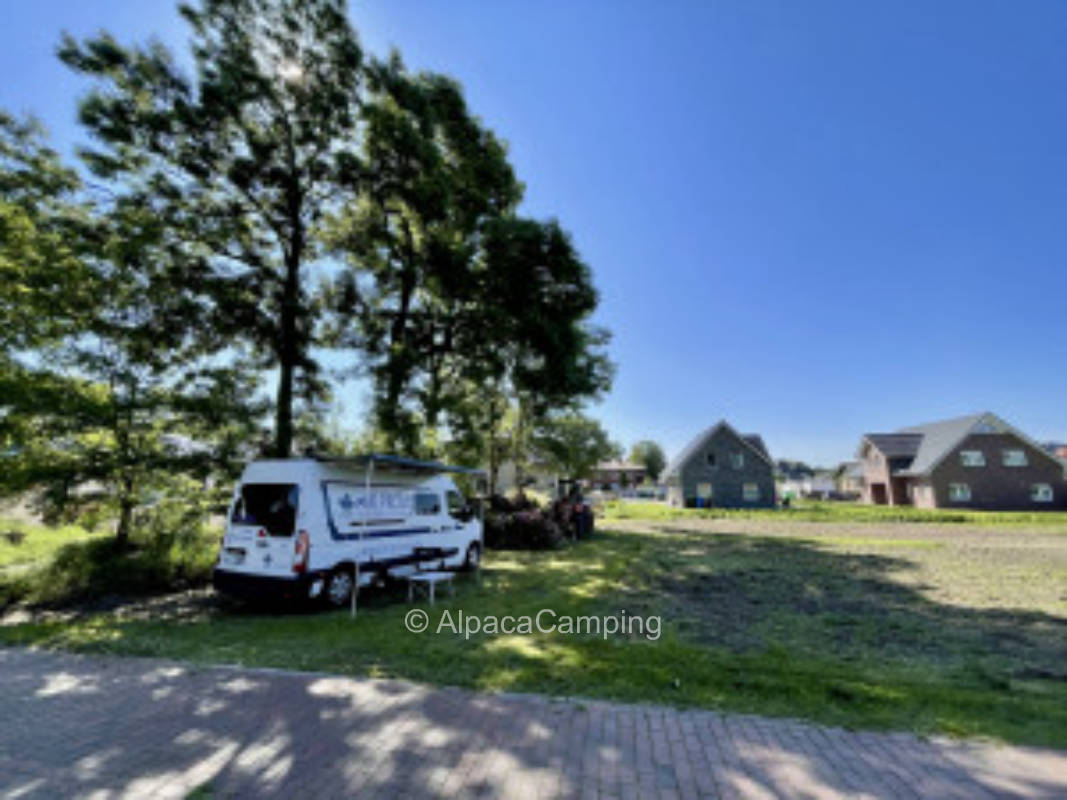 At the farm with many animals #3