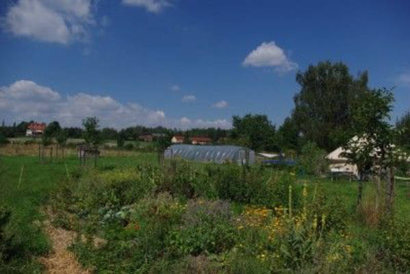 Nature camping in the three-country corner in secluded location