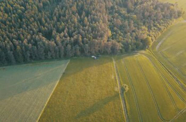 Meadow at Apfelallee