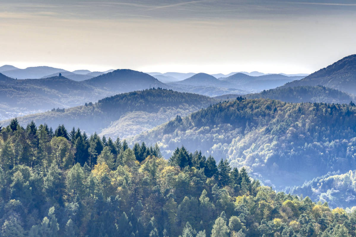 Der Pfälzerwald - Ein möglicher Stellplatz?