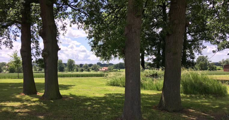 Campen/Stellplatz unter Bäumen in den Feldern