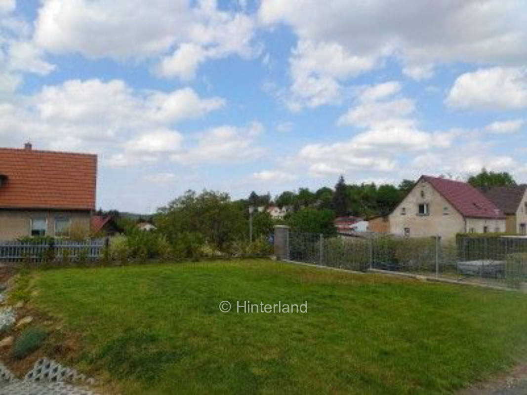 Kleine Wiese in Luthers Heimat