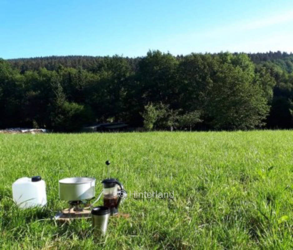 Exclusive wild meadow in solitary location in the forest