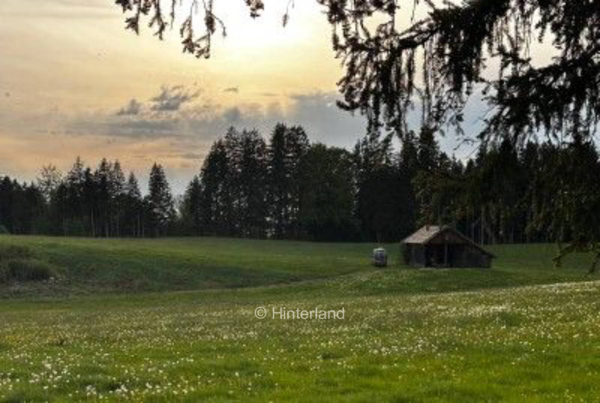 Stellplatz in der Nähe unseres Biobauernhofs      