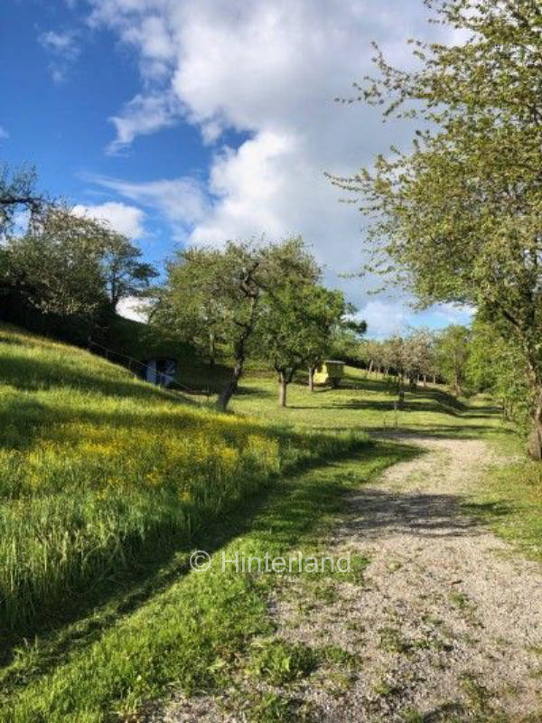 Camping auf dem Demeter Hof im Nordschwarzwald