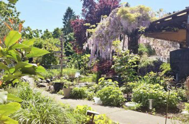 Green Oasis in Bremen