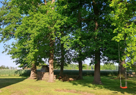 privater Stellplatz (Campspace 8975)