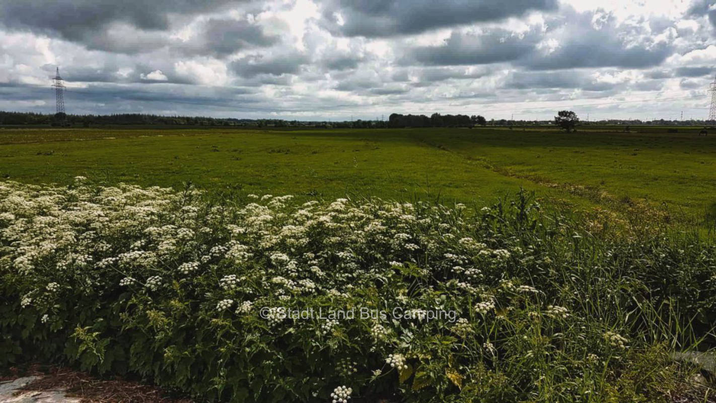 House to the Autal 3