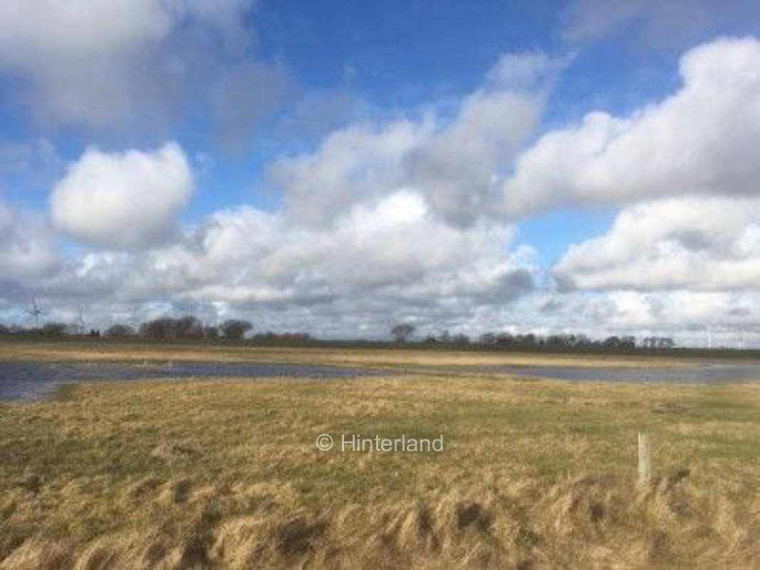 Erholung hinter dem Deich an der Nordsee, privater Stellplatz