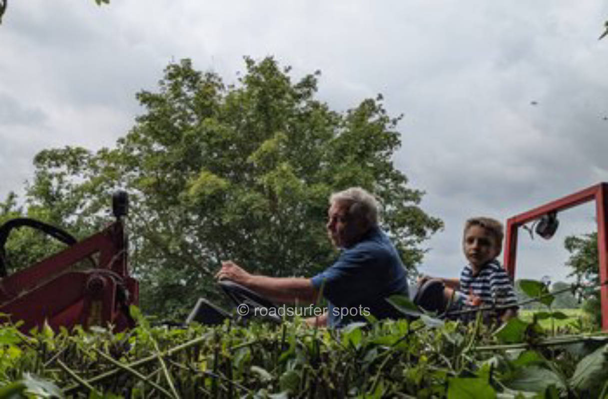 Zum Wiesengrund mit Abendrot