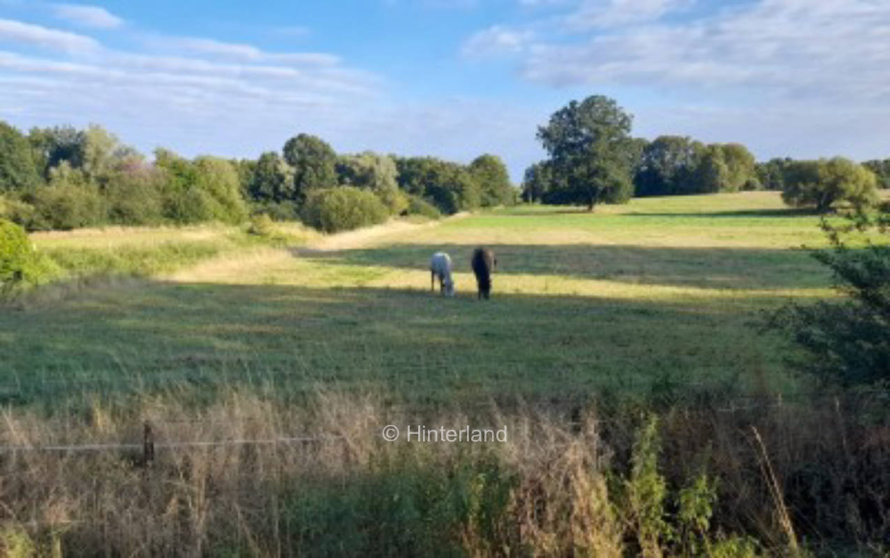 Natur und Ruhe
