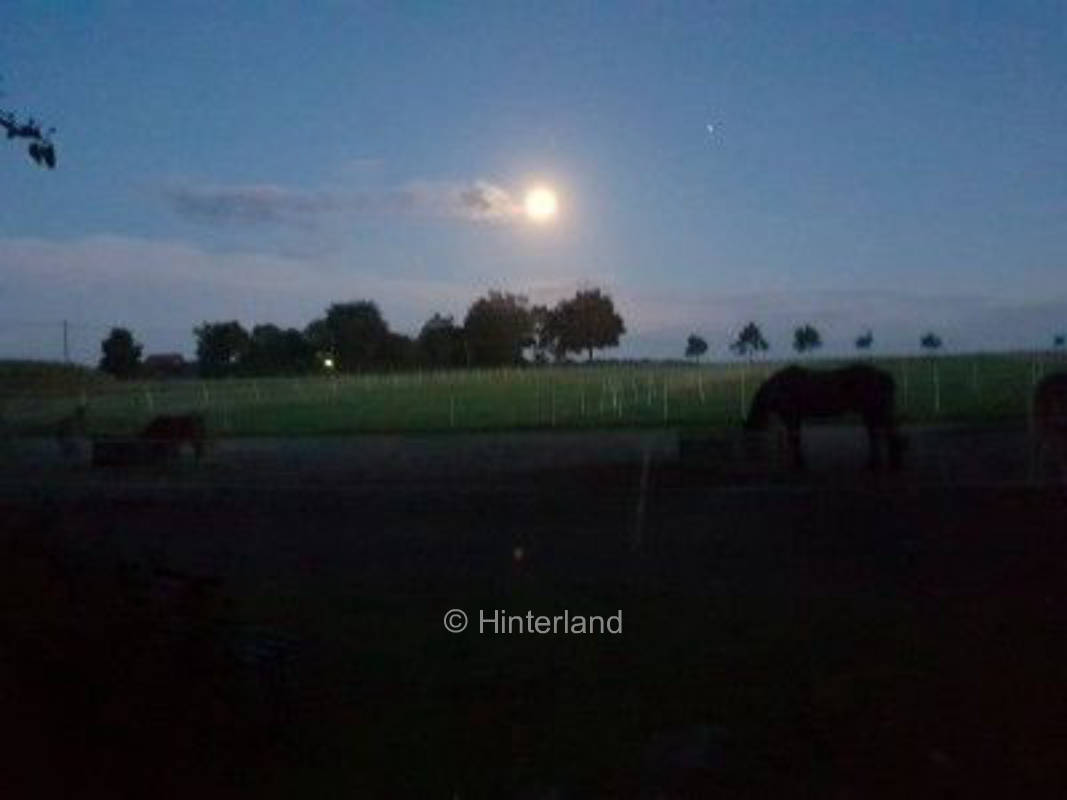 Go where the asparagus grows, privater Stellplatz