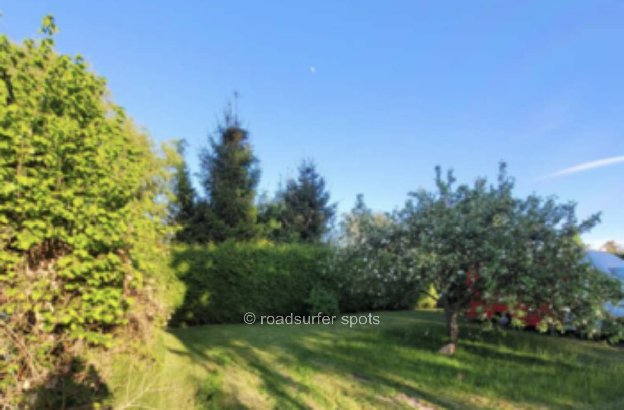 Camping am alten Apfelbaum 