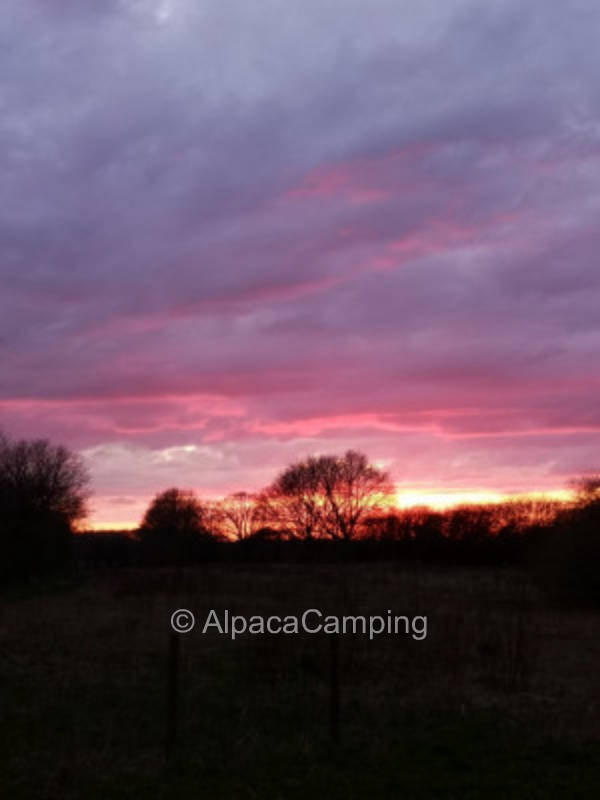 Zeltplatz auf einem entstehenden Permakulturhof
