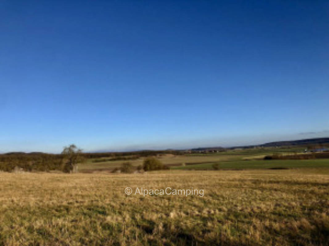 Below the vineyard #2