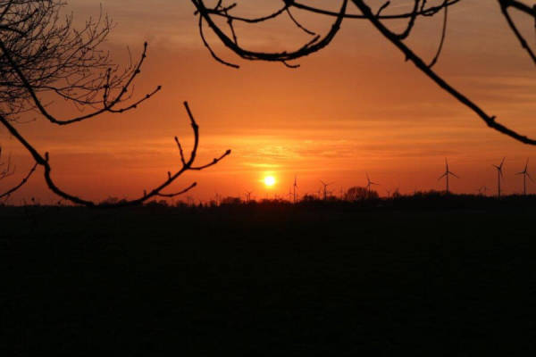 Naturcamping mit Moorblick, Moorweg