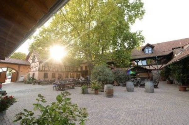 Camping at Bonnheimer Hof by the vineyards