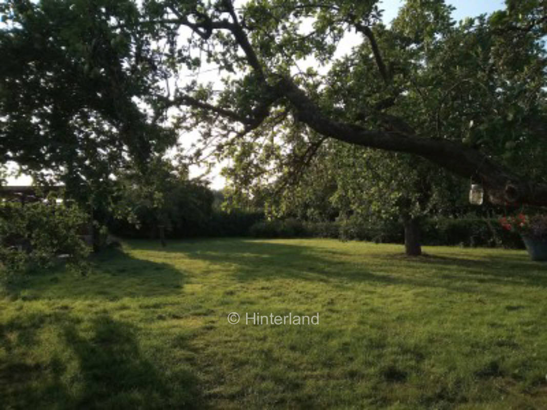 Camping at the Old Caretaker House