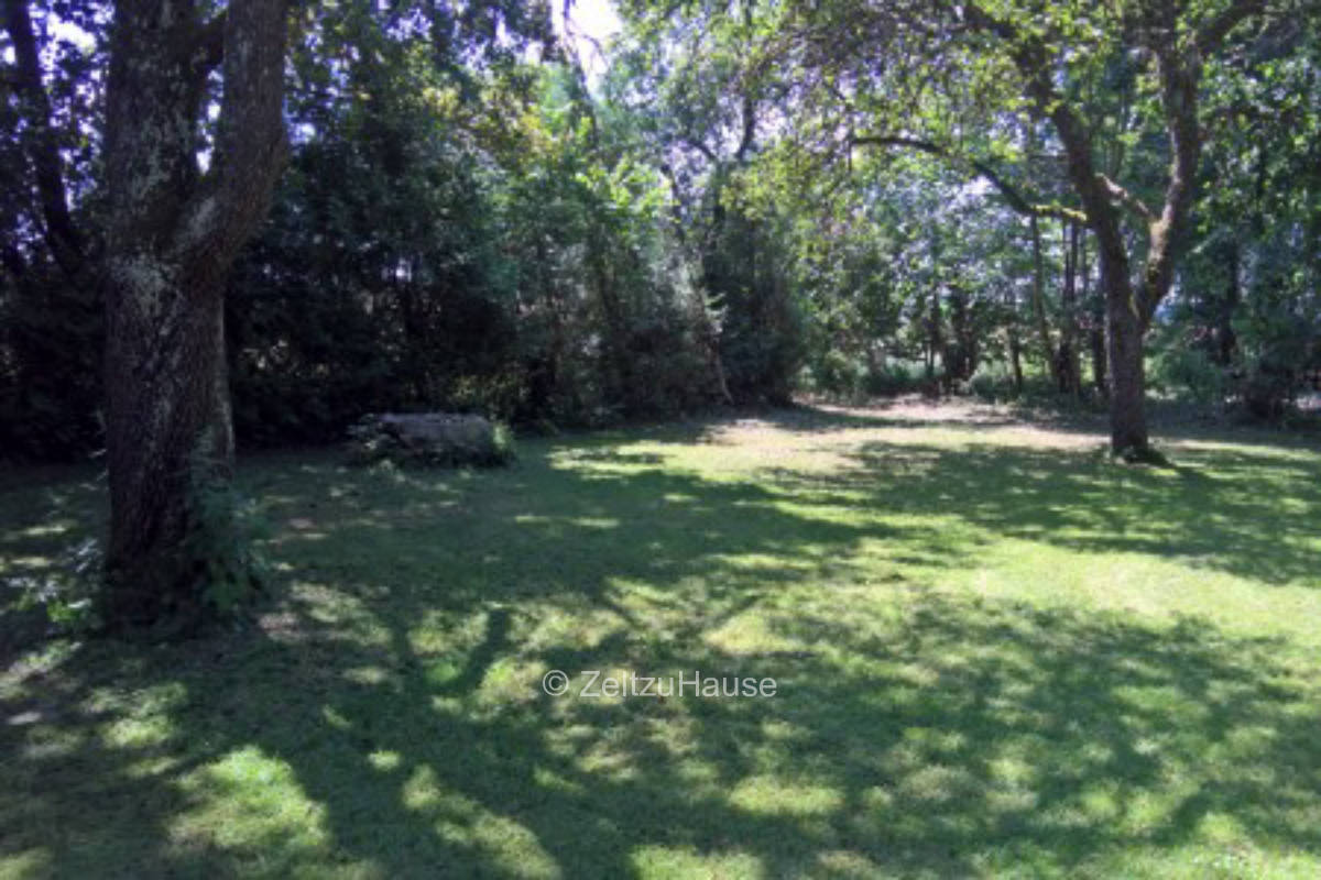 Campsite in a clearing in the forest