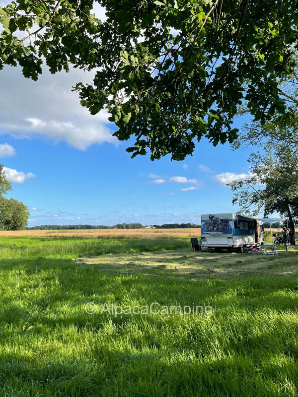 Pitch at the farm - Sunny coastal meadow with wide view over the field #1