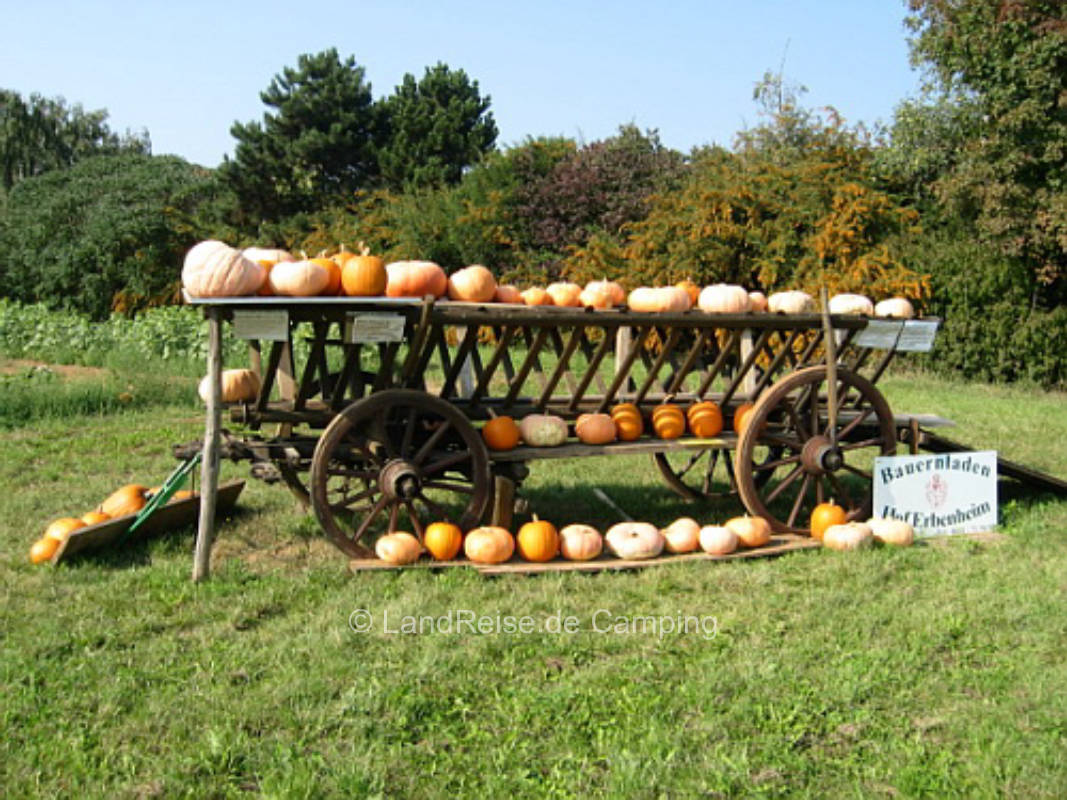 Paved parking space at the yard