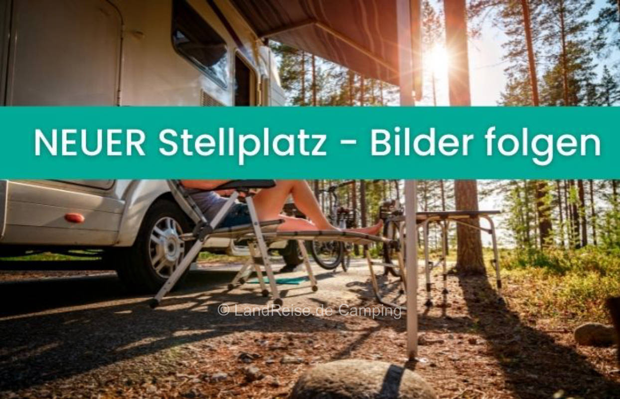 Schöne Stellplätze direkt am Waldrand am Weiher