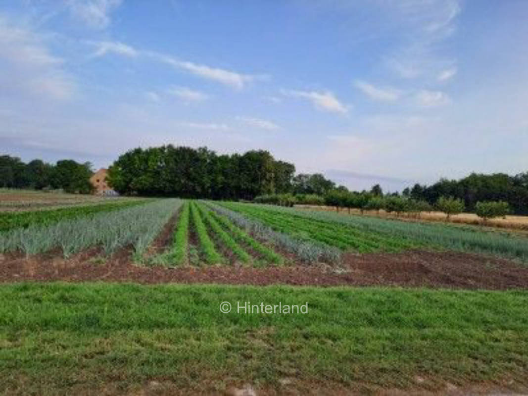 Stellplatz direkt am Feldesrand