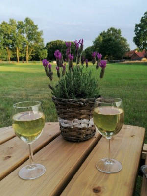 Camping auf der Heuwiese 