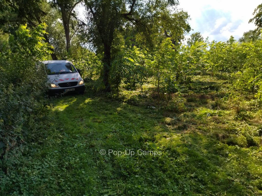 Einsamer Stellplatz mitten in der Aufforstung