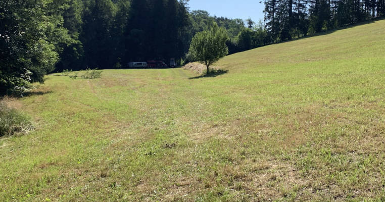 Pure nature: Secluded location on the forest edge next to the stream