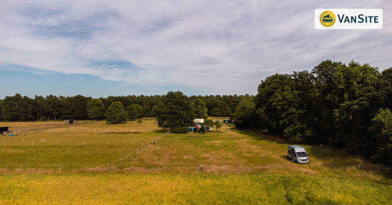 Festivalgelände am Waldrand  in schöner Natur