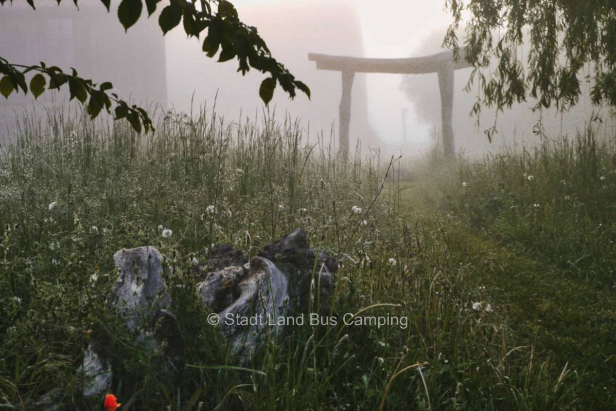 Weeping willow - Pitch one