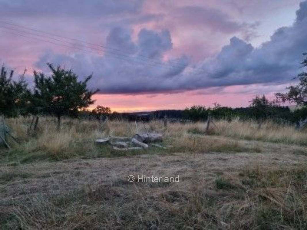 Ruhige Wiese im schönen Hunsrück 