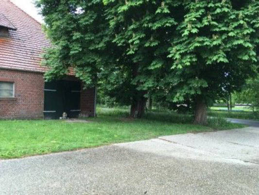 Camping under Chestnut Trees near Schloss Nordkirchen