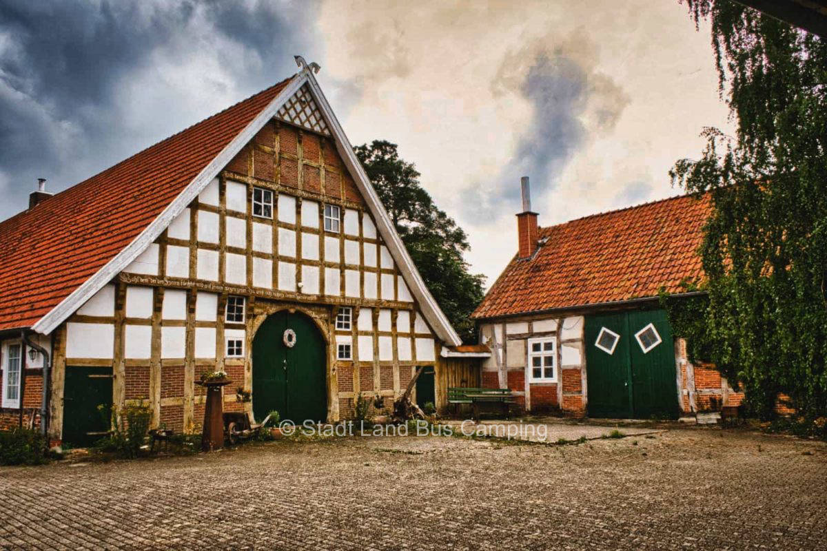 Hof Panama – Tiger