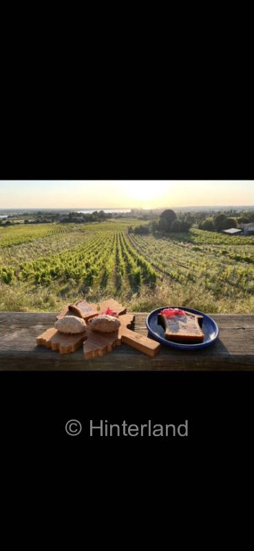 Dégustation & Nuit en Plein Cœur des Vignes