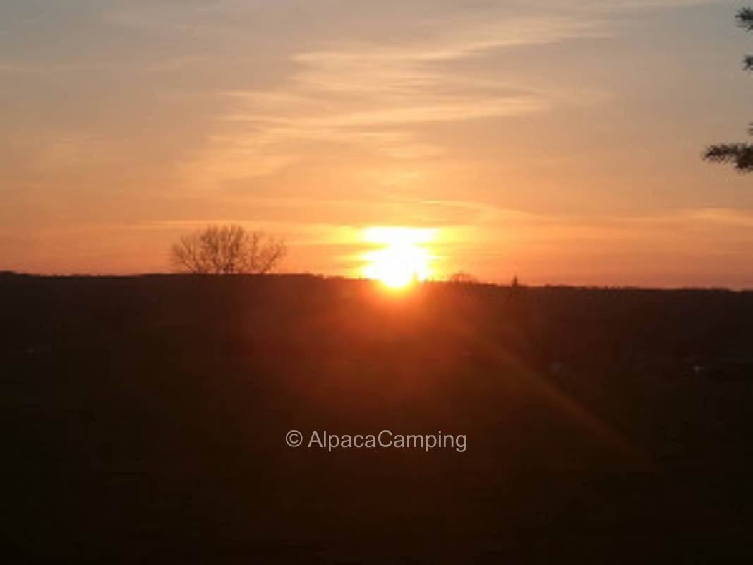 Ruhe und Entspannung am Rande der Feldberger Seenlandschaft #1