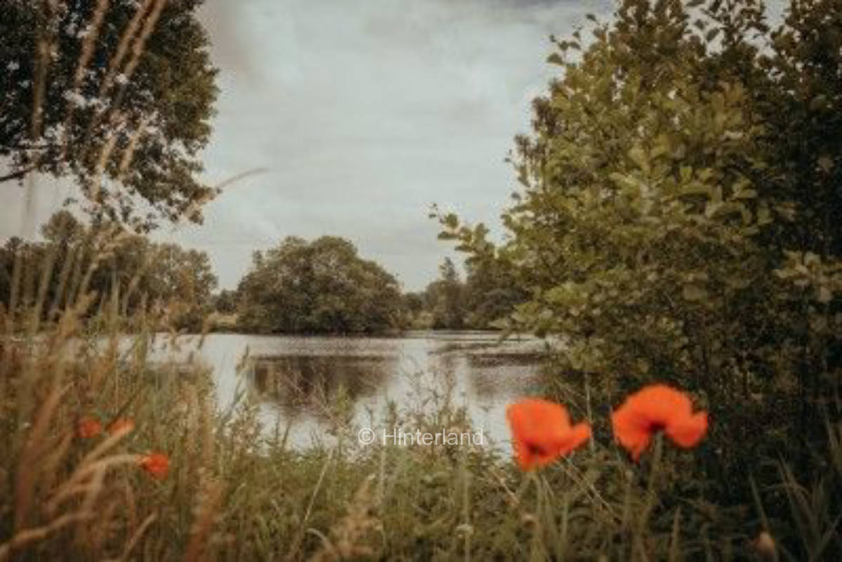 Alleinlage an der historischen Wassermühle 