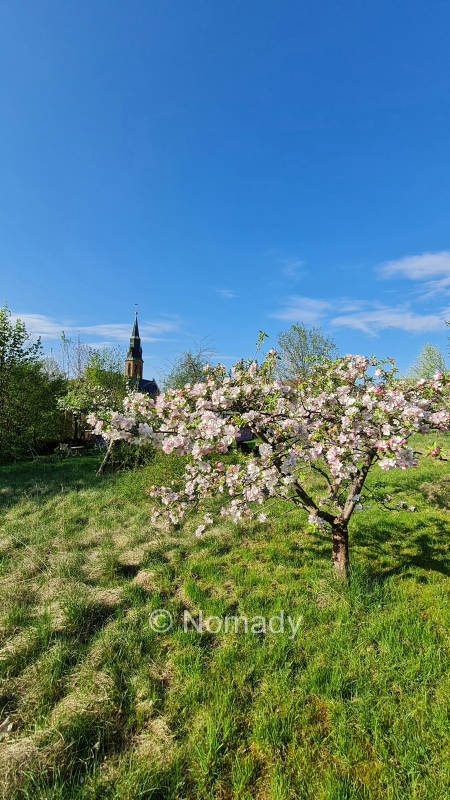 Natur, Kunst und Kultur im Weimarer Land